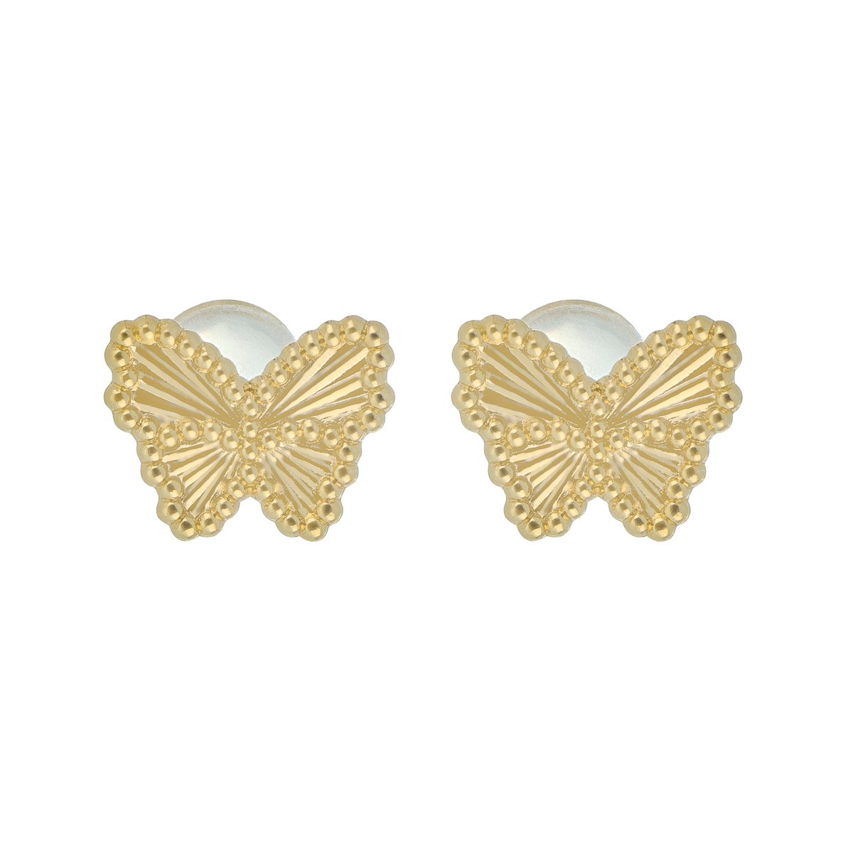 Mariposa Diamantada — ángulo alterno
